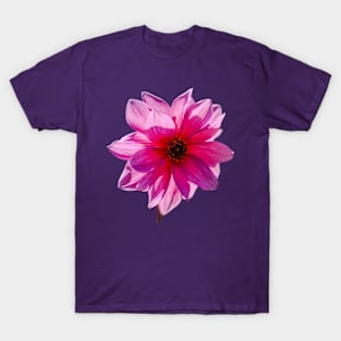 Dahlia flower T-Shirt